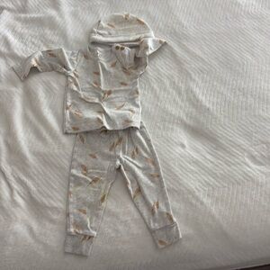 Carter's Gray and Brown Feather Print Sweatpants and Hat Set